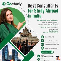 Best Consultants for Study Abroad in India GoStudy