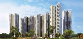 Rent a 2 BHK Flat at Amrapali Heartbeat City - Sector 107 Noida