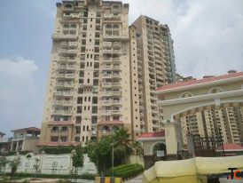 Check out 2 BHK flats for sale in Sector 45 Noida - Amrapali Sapphire