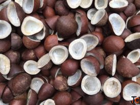 Premium Indian Agricultural Food Products Exporter Bulk Supplier Siya Worldwide