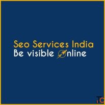 Seo Services in India for Organic Visibility and Digital Marketing