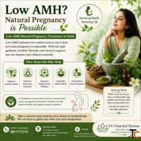 Natural Pregnancy Support for Women With Low AMH