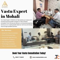Vastu Expert in Mohali
