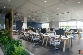 Office Interior Designer in Gurgaon Divine Innovation
