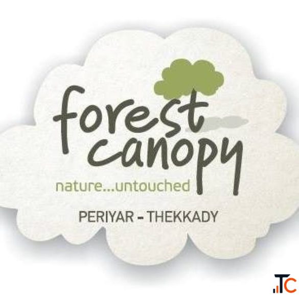Experience the Best Hotels in Thekkady for Family Getaways