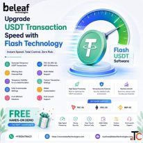 Upgrade USDT Transaction Speed with Flash Technology