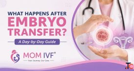Leading Fertility Hospital in Hyderabad - MOM IVF