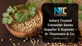 Trusted Coriander Seeds Supplier Exporter in India - N. Thummar Co.