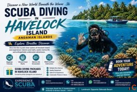 Scuba Diving Packages in Havelock Island - Dive Into Adventure