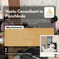Vastu Consultant in Panchkula