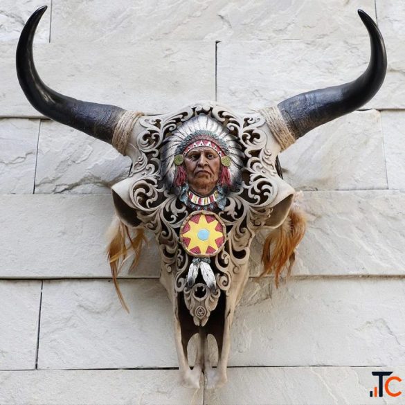 Animal Skull Trophy