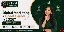 Can Freshers Start a Career in Digital Marketing