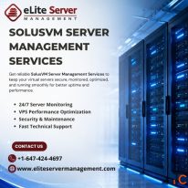 SolusVM Server Management Services Expert Support