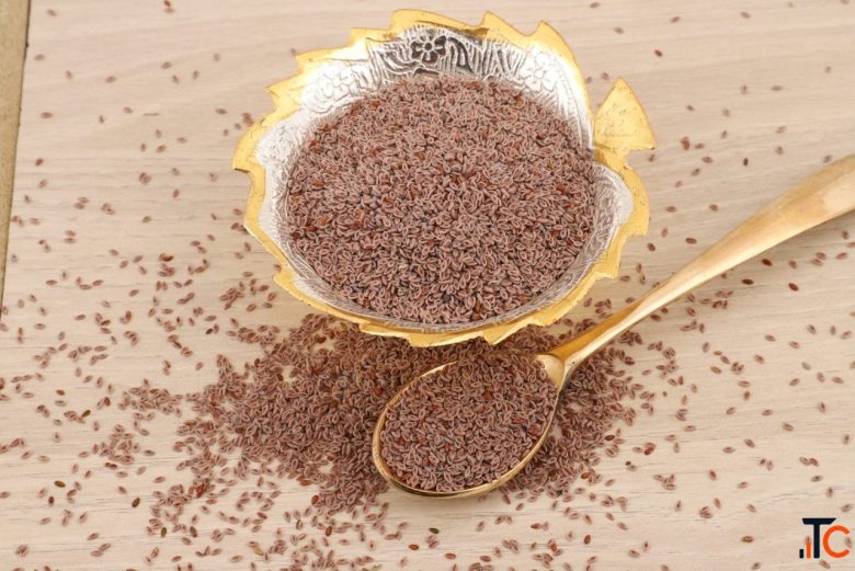 India's Trusted Psyllium Husk Manufacturer Global Exporter Gayatri Psyllium Industries
