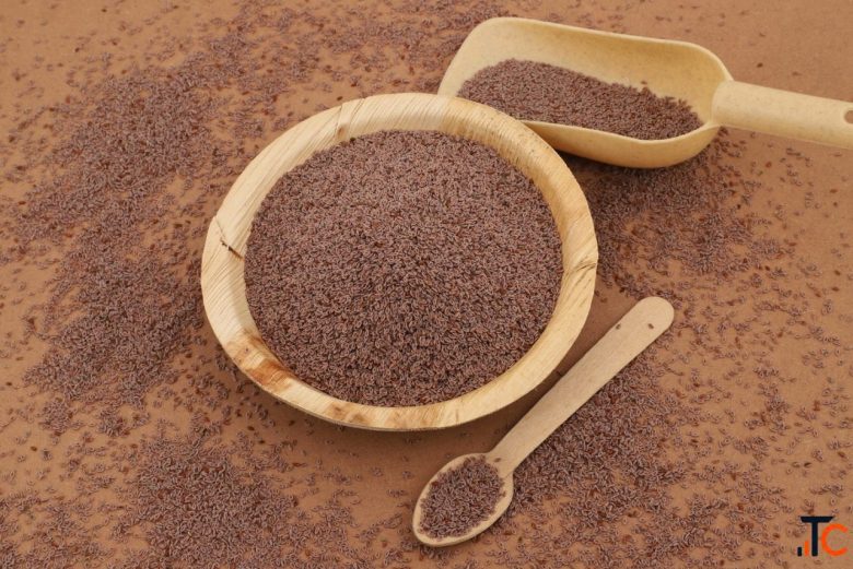 India's Trusted Psyllium Husk Manufacturer Global Exporter Gayatri Psyllium Industries