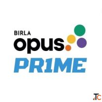 Premium Enamel Paint for Walls by Birla Opus Prime - Quick-Drying Rust-Resistant Oil-Based Enamel So