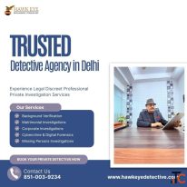 Detective Agency in Delhi - Professional Investigator