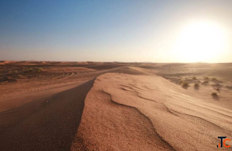 Liwa Oasis Abu Dhabi Explore the Empty Quarter with Liwa Camping