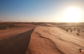 Liwa Oasis Abu Dhabi Explore the Empty Quarter with Liwa Camping