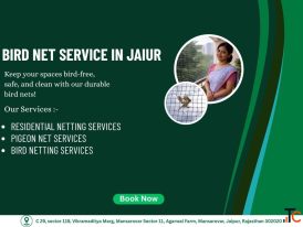 Top Bird Net Service in Jaipur