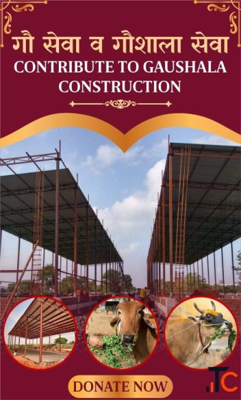 Join the Mission to Support Gau Seva Protect Cows Provide Safe Shelter