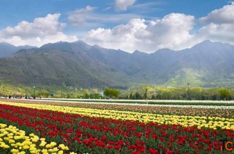 Srinagar 4 Nights 5Days Tour Package starting 19000
