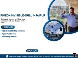 Affordable Bird Net Service in Jaipur