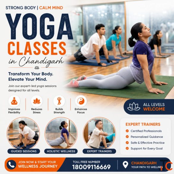 Yoga Classes in Chandigarh Bodyzone Fitness Spa