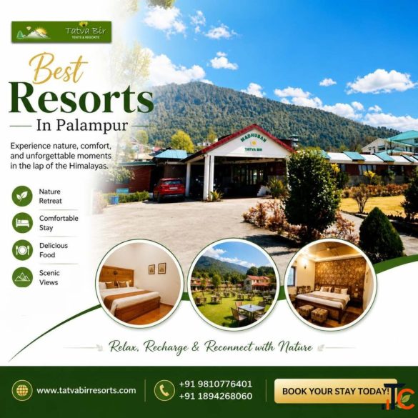 Best Resorts in Palampur for a Peaceful Mountain Holiday Stay