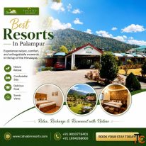 Best Resorts in Palampur for a Peaceful Mountain Holiday Stay