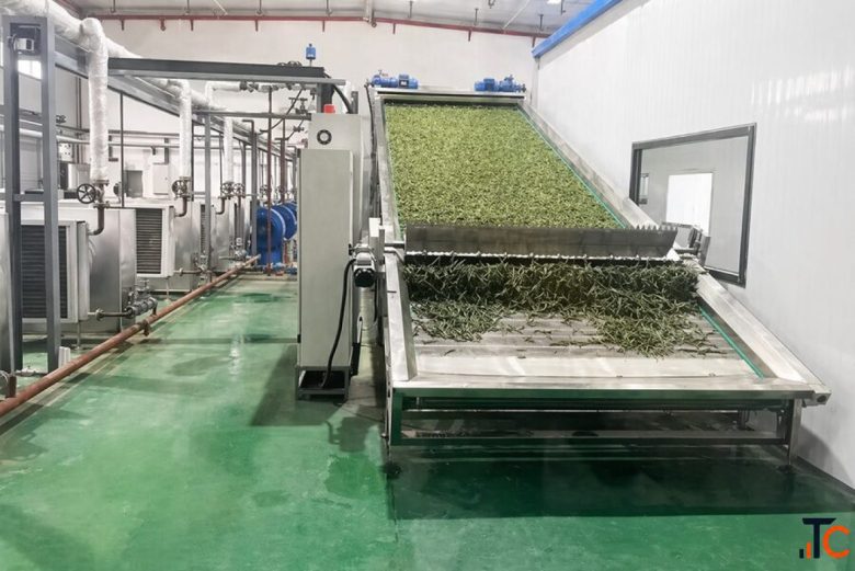 SEAWEED MICROALGAE MARINE BIOMASS PROCESSING SOLUTIONS