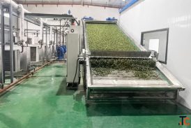SEAWEED MICROALGAE MARINE BIOMASS PROCESSING SOLUTIONS