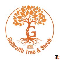 Professional Tree Cutting Near Me for Complete Local Tree Care