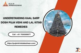 Understanding Kaal Sarp Dosh Puja Vidhi and Lal Kitab Remedies
