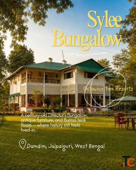 Sylee Bungalow - Heritage Tea Estate Stay in Dooars