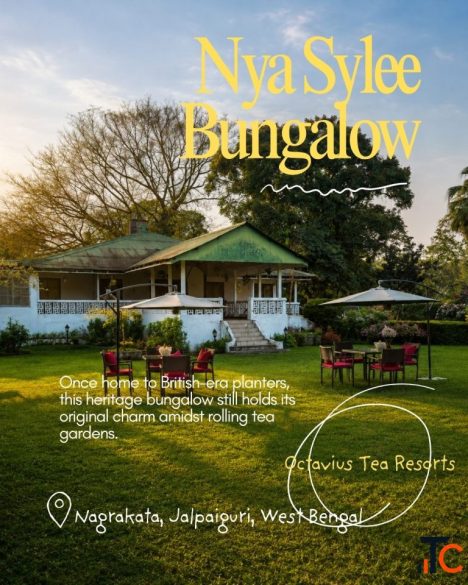 Nya Sylee Bungalow - Heritage Tea Estate Stay in Dooars