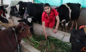 Fund Your Dairy Farm Expansion with Suitable Loan Options