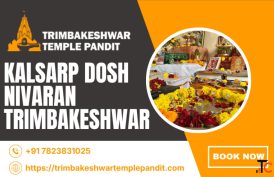 Find An Authorised Pandit For Kalsarp Dosh Nivaran
