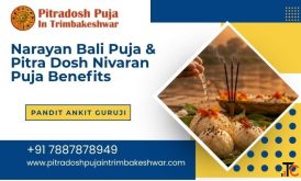 Narayan Bali Puja Pitra Dosh Nivaran Puja Benefits