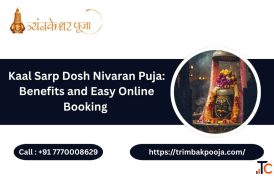 Kaal Sarp Dosh Nivaran Puja Benefits and Easy Online Booking