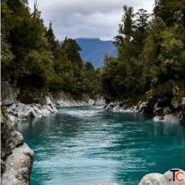Expert Private Tour Guide New Zealand Cheeky Kea Travel