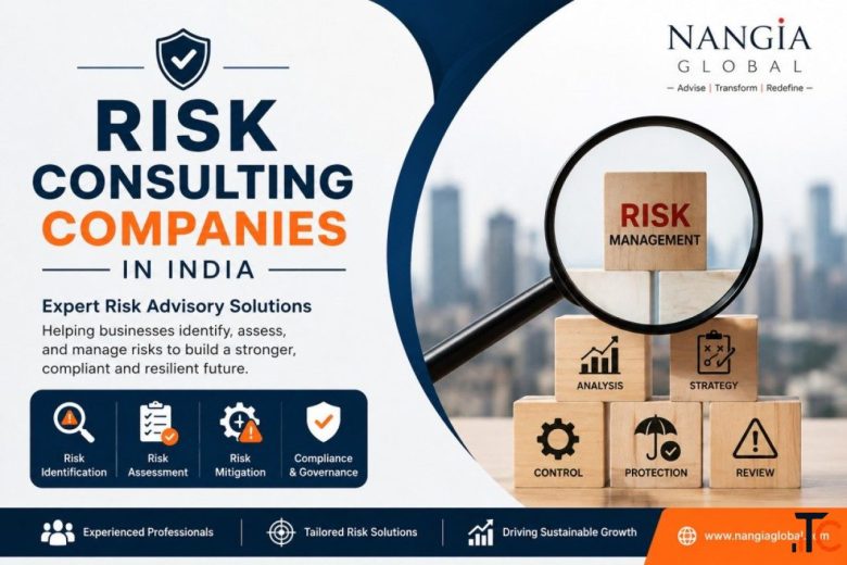 Risk Consulting Companies in India - Nangia Global