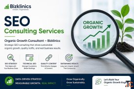 SEO Consulting Services Organic Growth Consultant - Bizklinics
