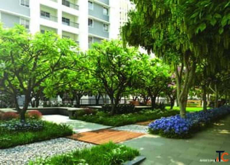 Ivy Kolte Patil Wagholi Guide RealEstate Talk