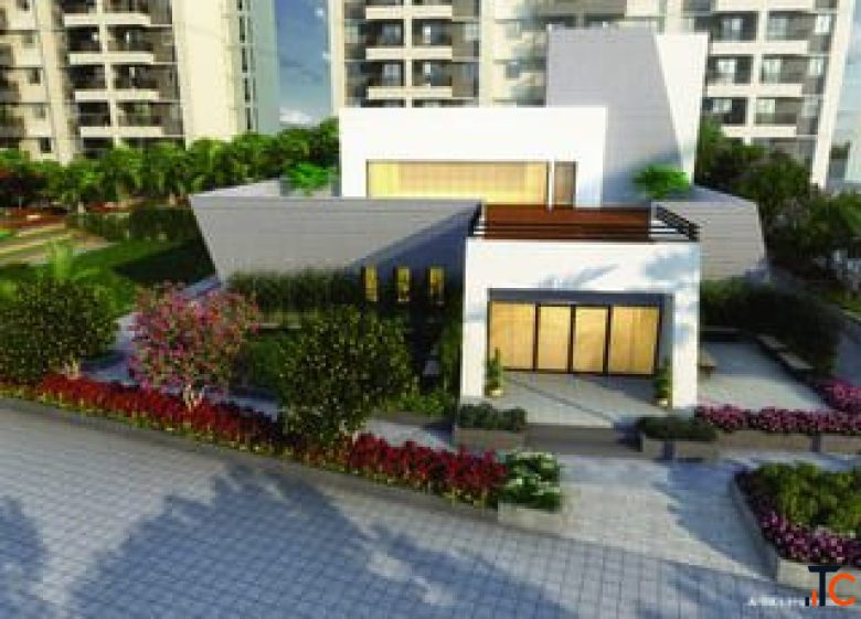 Ivy Kolte Patil Wagholi Guide RealEstate Talk