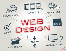 Best Web Designing Institutions