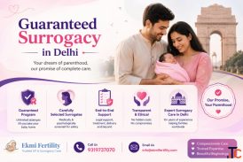 Guaranteed Surrogacy in Delhi Surrogacy Program in Delhi