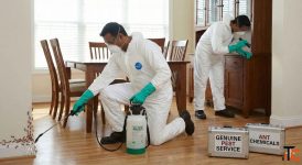 Ant control services