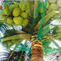 Coconut Safety Net Near Me in Bangalore Call "Menorah CocoNets" - 6362539199