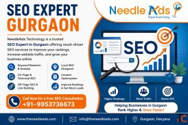 SEO Expert Gurgaon NeedleAds Technology